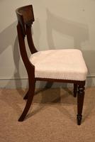 Set of Ten William IV Mahogany Dining Chairs (5 of 6) Set of Ten William IV Mahogany Dining Chairs (5 of 6)