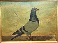 Decorative Sporting Early 20th Century Oil Canvas Painting English Racing Pigeon (4 of 35) Decorative Sporting Early 20th Century Oil Canvas Painting English Racing Pigeon (4 of 35)