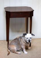 Regency Mahogany Work Table c.1820 (10 of 10) Regency Mahogany Work Table c.1820 (10 of 10)