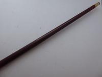 Walking Stick Cane 1898 Hallmarked Solid Silver Collar Amethyst Snakewood Shaft (5 of 8) Walking Stick Cane 1898 Hallmarked Solid Silver Collar Amethyst Snakewood Shaft (5 of 8)