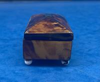Tortoiseshell Miniature Casket (9 of 10) Tortoiseshell Miniature Casket (9 of 10)