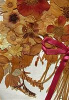 19th Century Victorian Floral Still Life of Pressed Flowers Picture (6 of 12) 19th Century Victorian Floral Still Life of Pressed Flowers Picture (6 of 12)