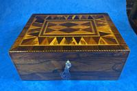 George III Rosewood Tunbridge Ware Box with Specimen Wood Inlay (12 of 15) George III Rosewood Tunbridge Ware Box with Specimen Wood Inlay (12 of 15)