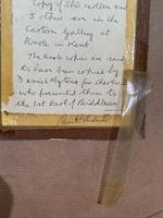 Item Additional Image