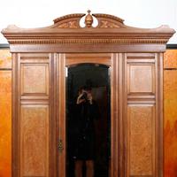 Wardrobe Burl Walnut Mirrored 19th Century (6 of 11) Wardrobe Burl Walnut Mirrored 19th Century (6 of 11)
