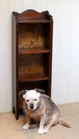 Small Proportioned Solid Oak Open Bookcase (6 of 10) Small Proportioned Solid Oak Open Bookcase (6 of 10)