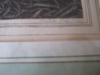 Late 18th Century Etching "Duck Shooting" by Samuel Howitt (5 of 6) Late 18th Century Etching "Duck Shooting" by Samuel Howitt (5 of 6)