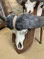 Item Additional Image