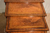 Sheraton Period Amboyna Inlaid Nest of Tables (4 of 6) Sheraton Period Amboyna Inlaid Nest of Tables (4 of 6)