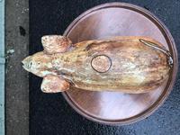 Antique Carved Pine Butchers Shop Display Pig (2 of 8) Antique Carved Pine Butchers Shop Display Pig (2 of 8)