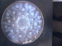 Rene Lalique Bulbes No 2 Opalescent Plate (4 of 8) Rene Lalique Bulbes No 2 Opalescent Plate (4 of 8)