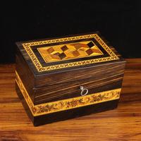 Antique Coromandel Tunbridge Ware Tea Caddy Box, Victorian 19th Century