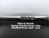 Pair of Silver Plated Victorian Wedding Spoons in Fitted Case (5 of 8) Pair of Silver Plated Victorian Wedding Spoons in Fitted Case (5 of 8)