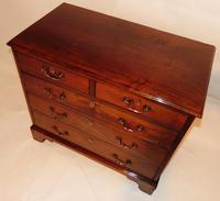 Small George III Cuban Mahogany Chest of Drawers (8 of 8) Small George III Cuban Mahogany Chest of Drawers (8 of 8)