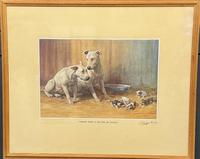 Item Additional Image