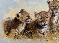 Exceptional 'pride Of Lion Cubs' Large Wildlife Oil Painting By 'silvia Duran' (6 of 12) Exceptional 'pride Of Lion Cubs' Large Wildlife Oil Painting By 'silvia Duran' (6 of 12)