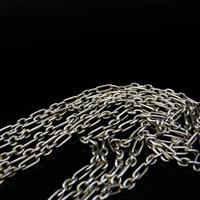 Antique Victorian Sterling Silver Long Guard Muff Chain Necklace with Dog Clip (7 of 8) Antique Victorian Sterling Silver Long Guard Muff Chain Necklace with Dog Clip (7 of 8)