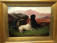Victorian Oil Painting Hunting "Game Dogs" Signed Robert Cleminson (9 of 29) Victorian Oil Painting Hunting "Game Dogs" Signed Robert Cleminson (9 of 29)