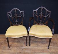 Set 10 Adams Shield Back Dining Chairs Mahogany (7 of 9) Set 10 Adams Shield Back Dining Chairs Mahogany (7 of 9)