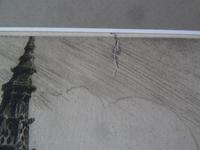 Andrew .F. Affleck , Massive Etching- " Burgos Cathedral, Spain" (5 of 5) Andrew .F. Affleck , Massive Etching- " Burgos Cathedral, Spain" (5 of 5)