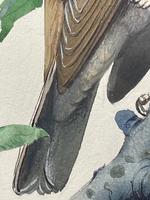 Watercolour "Chirping Song Thrush Bird" Signed Charles Frederick Tunnicliffe OBE RA 1901-1979 (16 of 35) Watercolour "Chirping Song Thrush Bird" Signed Charles Frederick Tunnicliffe OBE RA 1901-1979 (16 of 35)