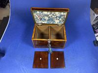 18th Century Mahogany Twin Tea Caddy with Shell Inlay (4 of 17) 18th Century Mahogany Twin Tea Caddy with Shell Inlay (4 of 17)