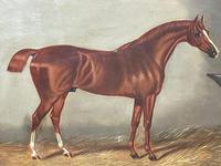 Victorian Oil Painting Chestnut Horse Portrait In Stable Signed Edwin Loder (8 of 42) Victorian Oil Painting Chestnut Horse Portrait In Stable Signed Edwin Loder (8 of 42)