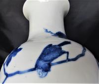 Chinese Blue & White Hand Painted Porcelain Vase, Kangxi Mark & Period c.1700 (9 of 13) Chinese Blue & White Hand Painted Porcelain Vase, Kangxi Mark & Period c.1700 (9 of 13)