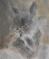 Characterful pastel drawing of a cat (3 of 4) Characterful pastel drawing of a cat (3 of 4)