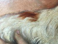 Genre 19th Century Oil Painting Portrait Young Girl & Cavalier King Charles Spaniel "Faithful Friend" (9 of 12) Genre 19th Century Oil Painting Portrait Young Girl & Cavalier King Charles Spaniel "Faithful Friend" (9 of 12)
