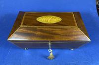 Regency Sarcophagus Mahogany Box with Shell Inlay. (11 of 12) Regency Sarcophagus Mahogany Box with Shell Inlay. (11 of 12)