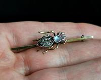 Victorian Beetle Brooch, Moonstone, Diamond, Ruby & Garnet, 15ct Gold, Boxed (12 of 12) Victorian Beetle Brooch, Moonstone, Diamond, Ruby & Garnet, 15ct Gold, Boxed (12 of 12)