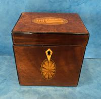 18th Century Harewood Inlaid Single Mahogany Tea Caddy (13 of 18) 18th Century Harewood Inlaid Single Mahogany Tea Caddy (13 of 18)
