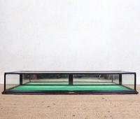 Counter Top Shop Display Cabinet Glazed Ebonised 19th Century Glass (6 of 14) Counter Top Shop Display Cabinet Glazed Ebonised 19th Century Glass (6 of 14)
