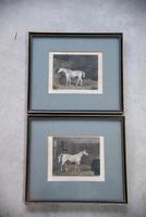 Pair Antique Race Horse Engravings (7 of 11) Pair Antique Race Horse Engravings (7 of 11)