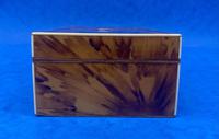 Georgian Tortoiseshell Jewellery Box (7 of 16) Georgian Tortoiseshell Jewellery Box (7 of 16)