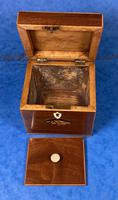 Georgian Single Mahogany Tea Caddy with Inlaid Shell (10 of 12) Georgian Single Mahogany Tea Caddy with Inlaid Shell (10 of 12)