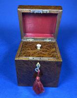 Late Victorian Burr Yew Single Tea Caddy (9 of 32) Late Victorian Burr Yew Single Tea Caddy (9 of 32)