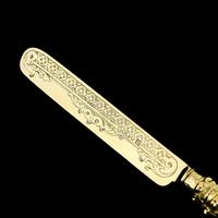 Antique Victorian Solid Silver Gilt Traveling / Christening Cutlery Set - Martin Hall & Co. 1872 (10 of 22) Antique Victorian Solid Silver Gilt Traveling / Christening Cutlery Set - Martin Hall & Co. 1872 (10 of 22)