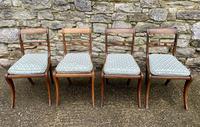 Set of 4 Regency Rosewood Sabre Leg Dining Chairs (4 of 15) Set of 4 Regency Rosewood Sabre Leg Dining Chairs (4 of 15)