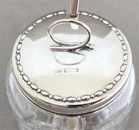 Superb Silver & Cut Glass Preserve Pot & Spoon (2 of 7) Superb Silver & Cut Glass Preserve Pot & Spoon (2 of 7)