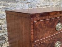 Regency Flame Mahogany Bow Front Chest of Drawers (14 of 17) Regency Flame Mahogany Bow Front Chest of Drawers (14 of 17)