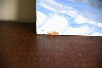 Still Life - Mackerel Oil Painting (2 of 11) Still Life - Mackerel Oil Painting (2 of 11)