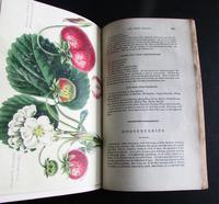 1833 The Practical Gardener & Modern Horticulturist by Charles McIntosh, 2 Volume Set (6 of 8) 1833 The Practical Gardener & Modern Horticulturist by Charles McIntosh, 2 Volume Set (6 of 8)