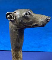 Late Victorian Birch Greyhound Walking Stick (14 of 21) Late Victorian Birch Greyhound Walking Stick (14 of 21)