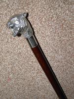 Vintage Hallmarked 925 Silver Walking Stick / Cane With Snarling Tiger Handle 91cm (13 of 21) Vintage Hallmarked 925 Silver Walking Stick / Cane With Snarling Tiger Handle 91cm (13 of 21)
