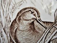 Wedgwood 8 inch tile with Snipe on nest, 1876 (3 of 3) Wedgwood 8 inch tile with Snipe on nest, 1876 (3 of 3)