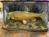 Item Additional Image