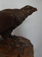 Rare and beautiful carving of a young eagle, 19th century (4 of 6) Rare and beautiful carving of a young eagle, 19th century (4 of 6)
