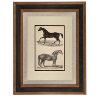 Hand Coloured 'Galloping Horse' Lithograph. Goldsmith 1875 (4 of 4) Hand Coloured 'Galloping Horse' Lithograph. Goldsmith 1875 (4 of 4)